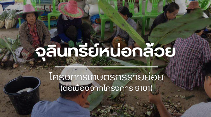 จุลินทรีย์หน่อกล้วย
